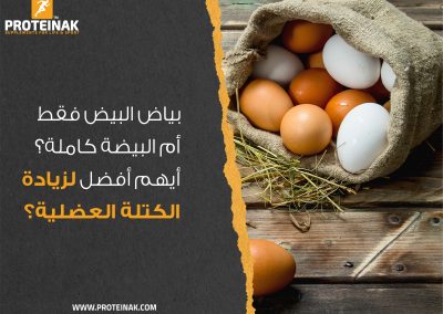 بياض البيض فقط ام البيضة كاملة؟ أيهم افضل لزيادة الكتلة العضلية؟